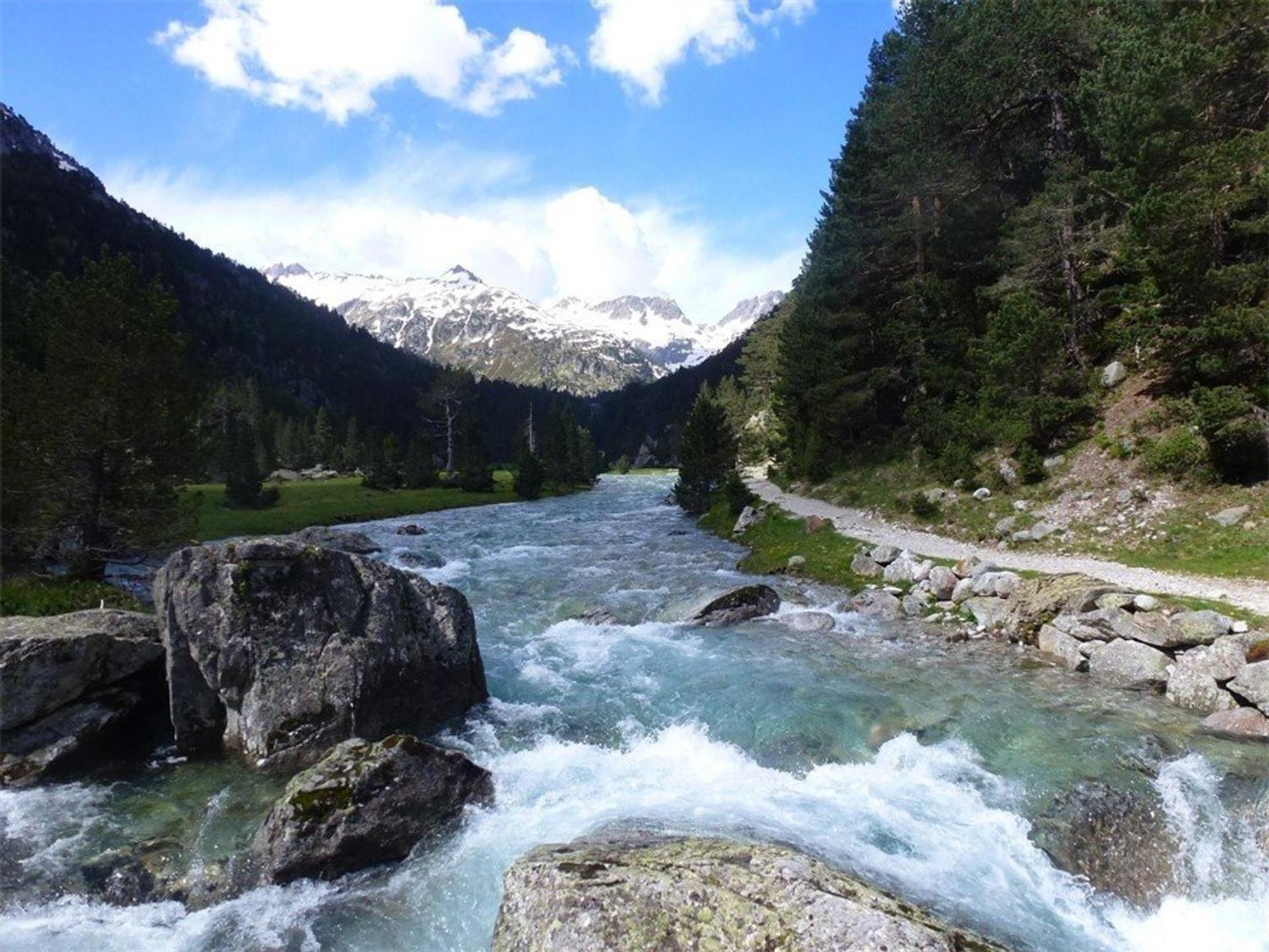 Appartement Cosy 4 Pers A 50M Des Thermes Et 300M Des Pistes, Wifi, Ascenseur - Fr-1-234-128 코트레 외부 사진